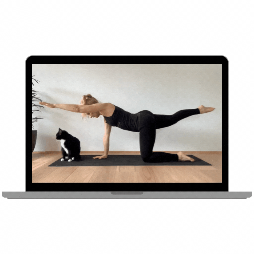 Laptop GIF